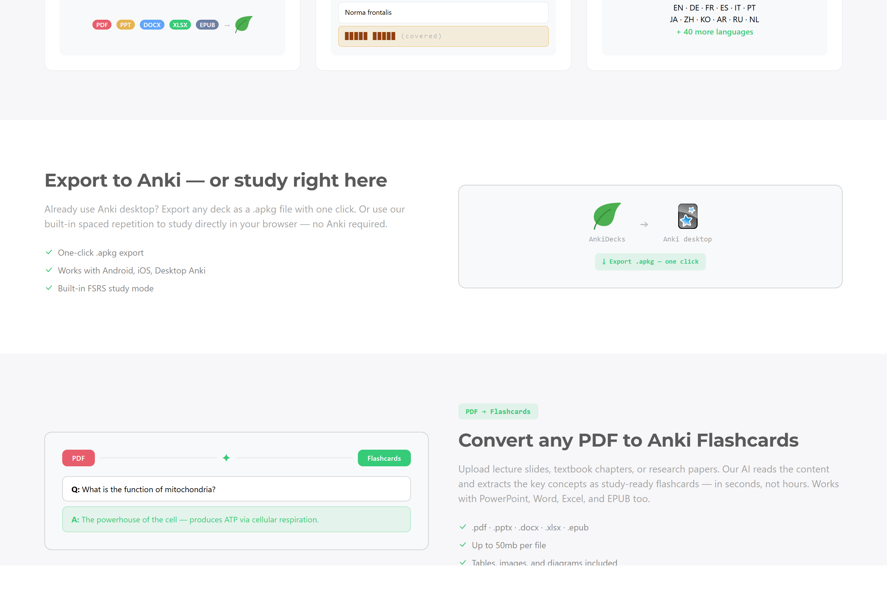 Main Interface